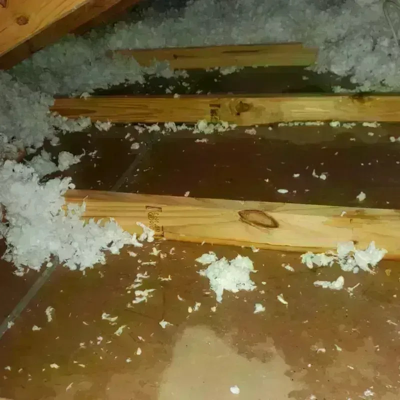 Attic Water Damage in Pine Bluffs, WY