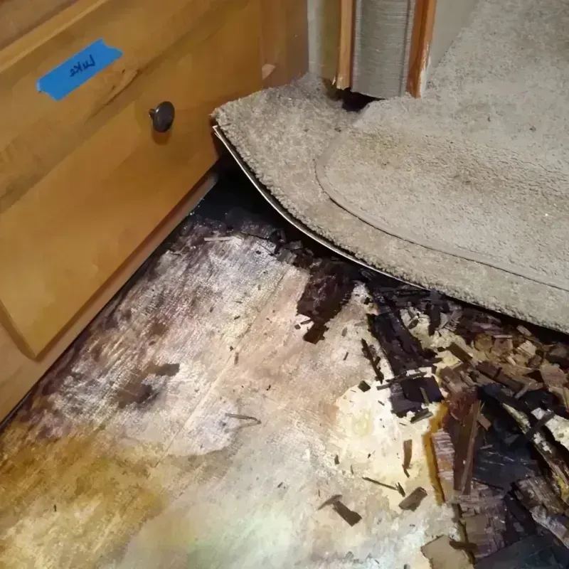 Wood Floor Water Damage in Pine Bluffs, WY